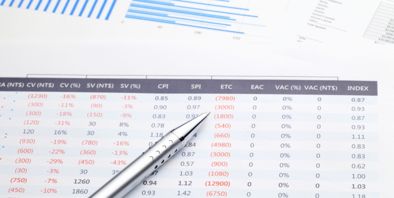 Microsoft Excel Spreadsheet
