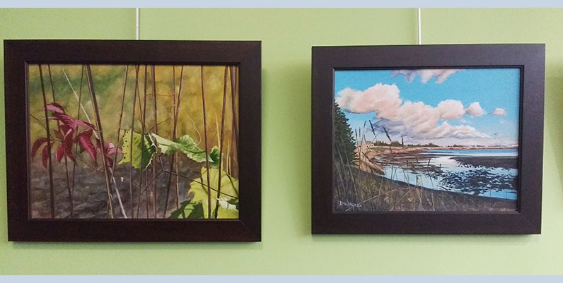 Turner Park Gallery - Nov 2016 - Dan Maelstrom two framed painting of nature
