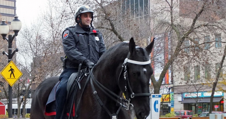 Mounted Police Visit photo of mounted police in Hamilton