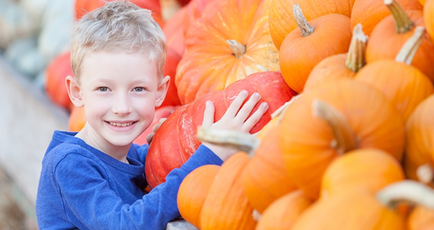 Pumpkin Storytime a boy with pumpkins