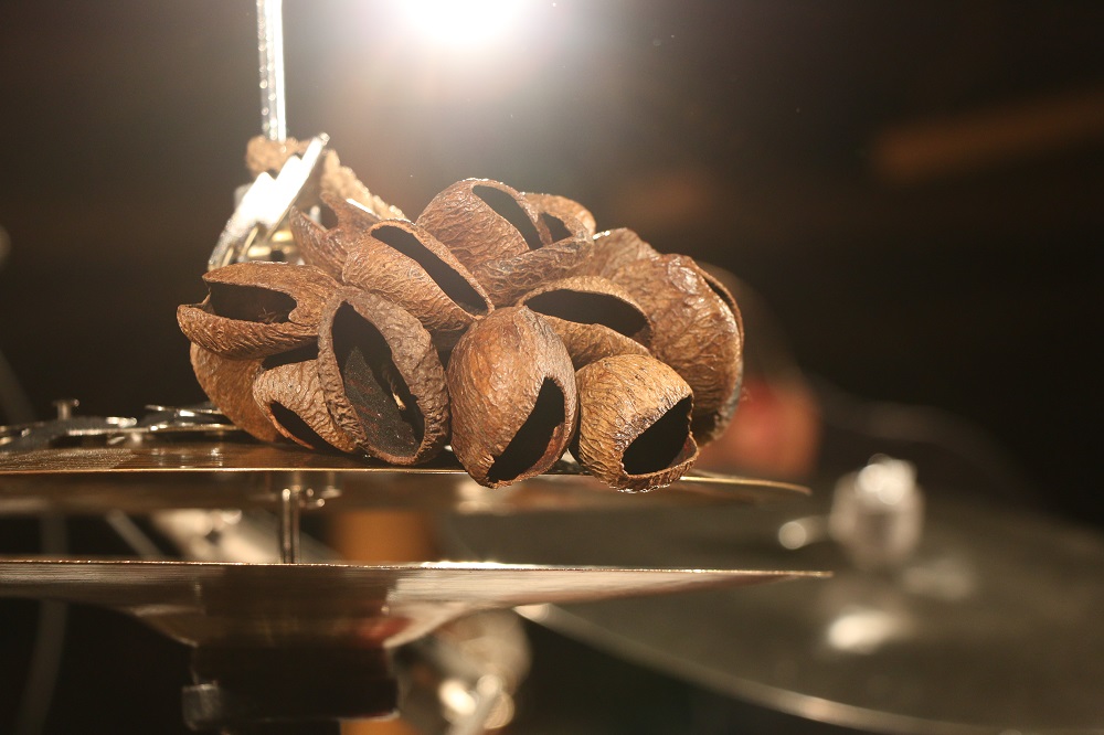 Closeup of drum shells at the Blackie and the Rodeo Kings concert