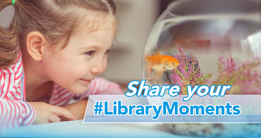 girl looking at a goldfish inside a bowl