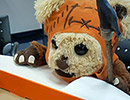 A teddy bear dressed like a Star Wars Ewok
