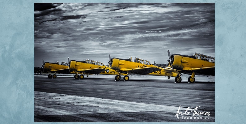 Gallery Turner Park: Anita Thomas photo of vintage airplanes