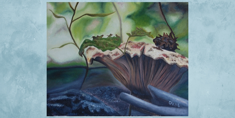 We Are All Interconnected A photo of mushrooms and fungus in a forest