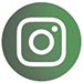 Green Instagram Logo